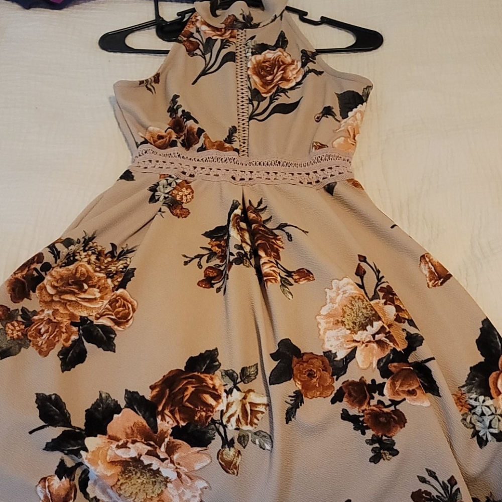 Blush skater dress